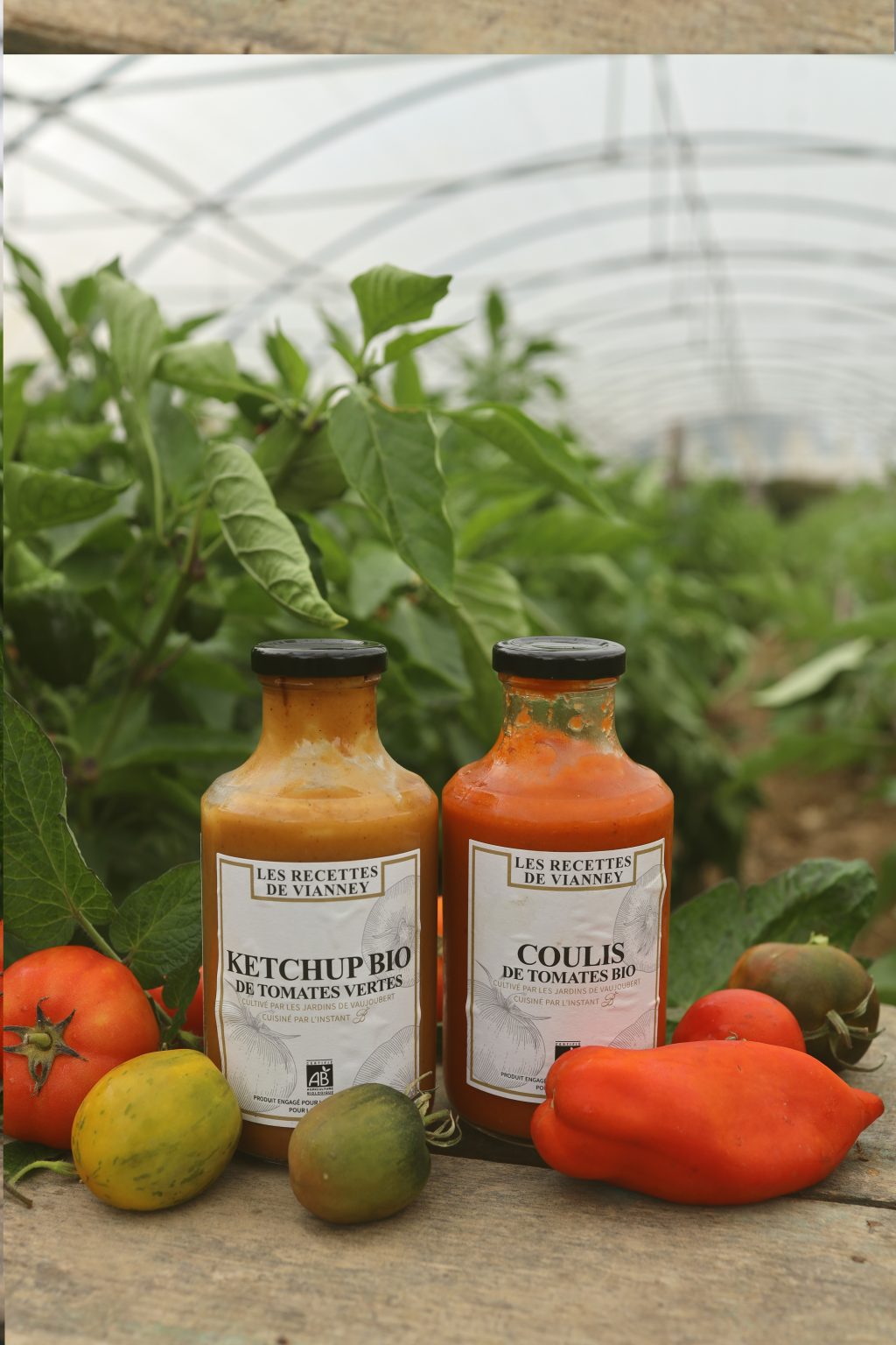 Article Ouest France sur le Ketchup bio des Jardins de Vaujoubert TARMAC